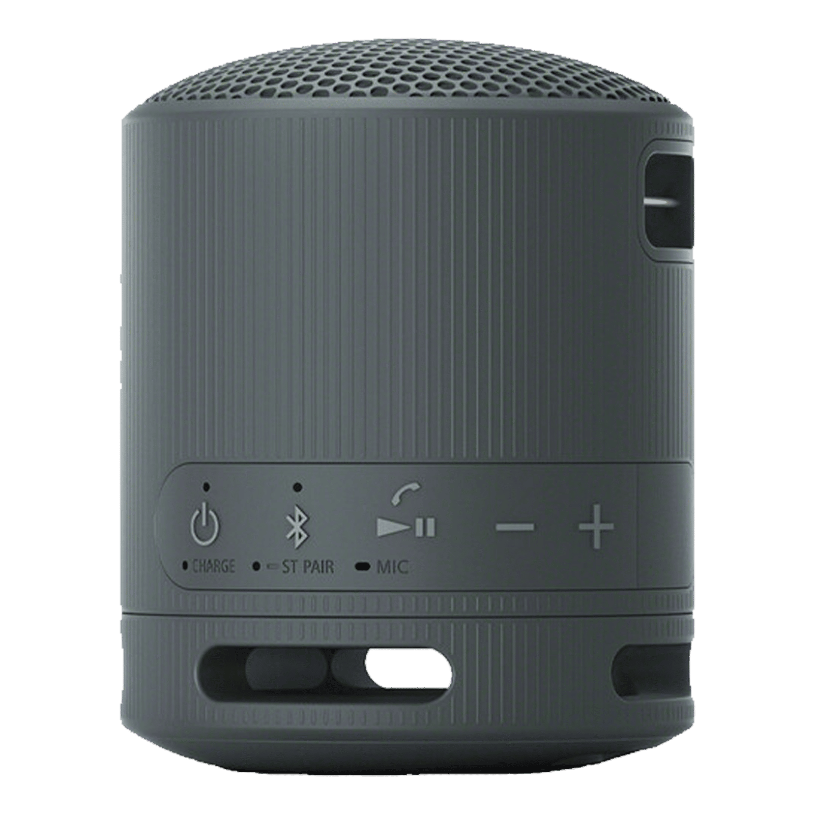 Buy SONY SRS-XB100 2.5W Portable Bluetooth Speaker (IP67